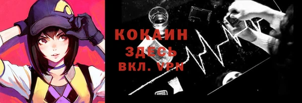 тгк Лиски