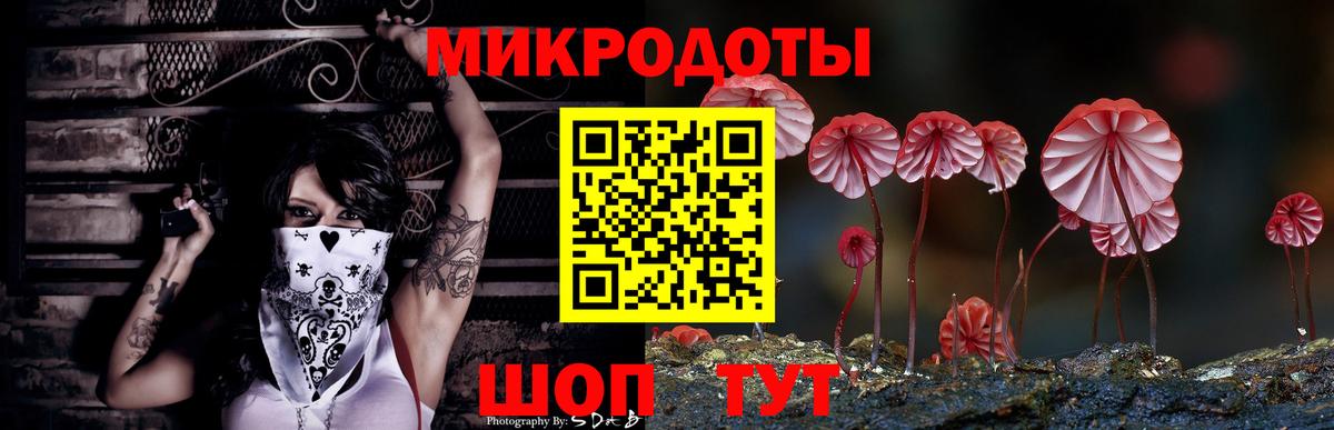 Псилоцибиновые грибы Psilocybine cubensis  Вход с VPN  закладки  Нижний Новгород 